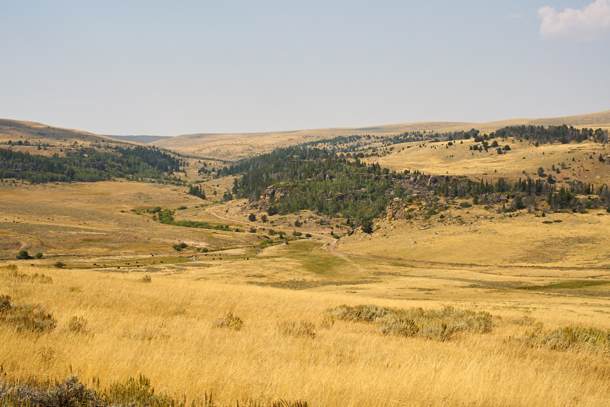 Part 12 Cody, WY to Curtis Gulch, WY 2017082730